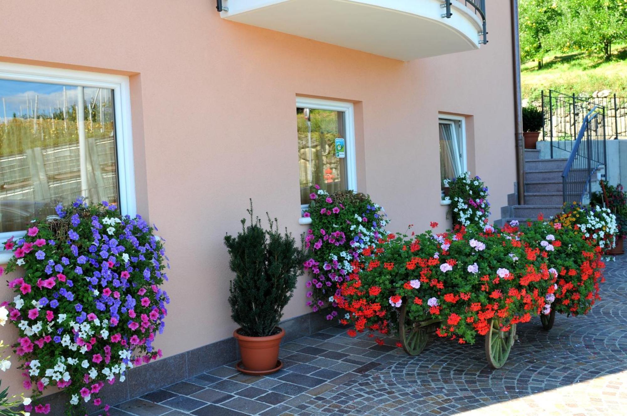 Agritur Le Pergolette Villa Tassullo Eksteriør billede